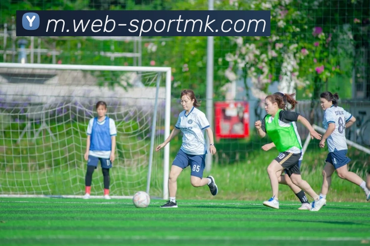 App Interface Preview