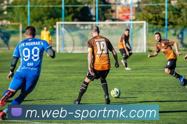 MK体育APP 封面图